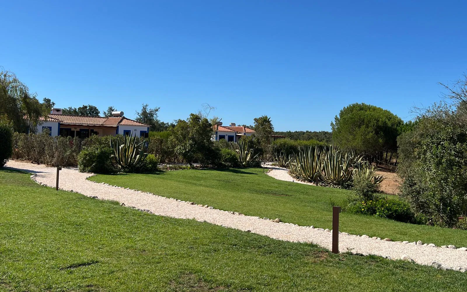 Gravel paths and agaves between the white villas