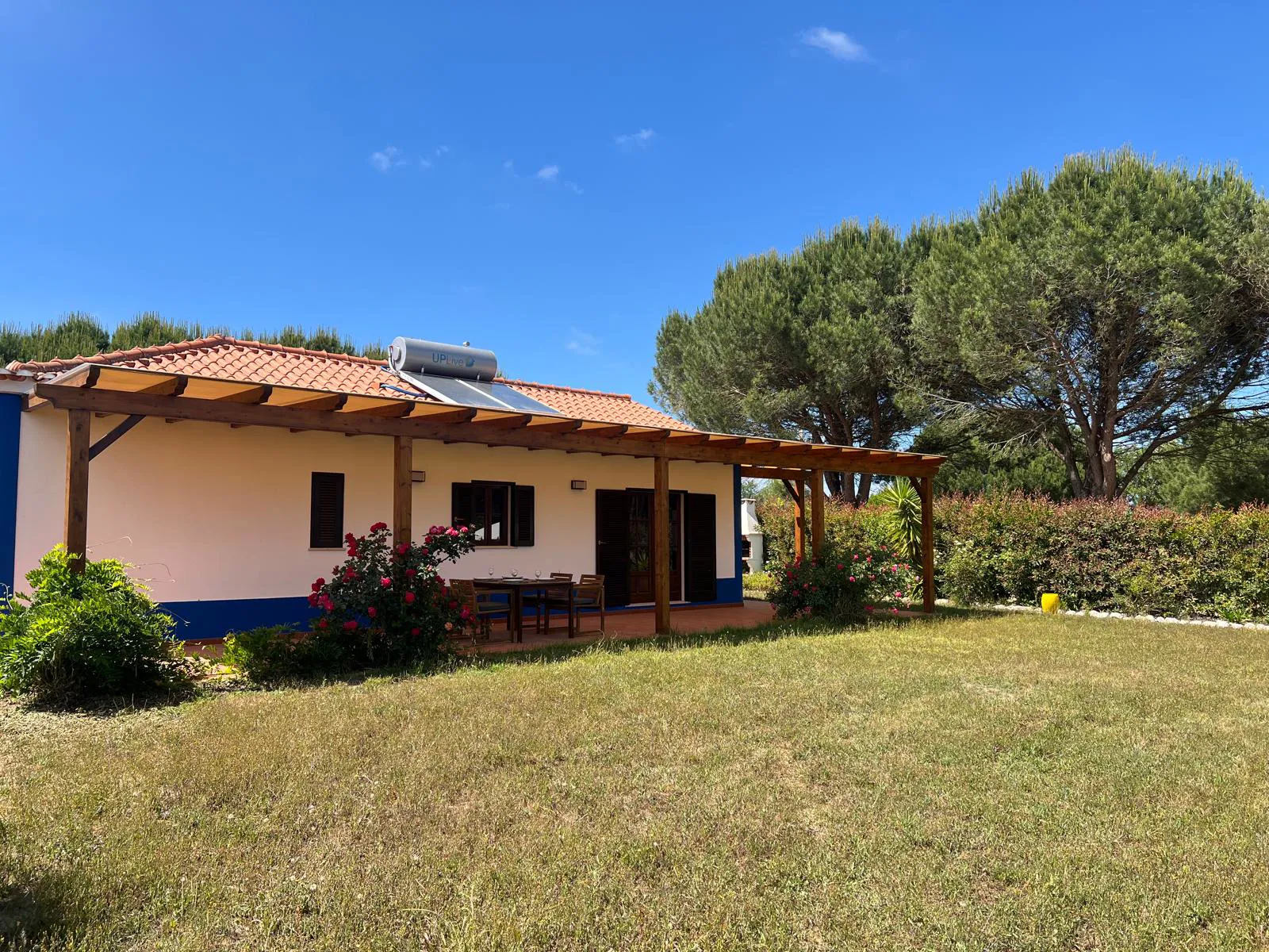 Pine Nest: The villa under the pines